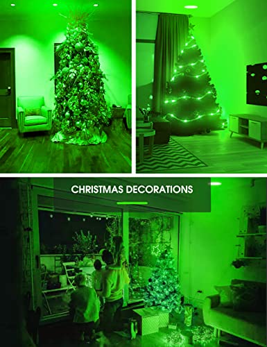 Image of L LOHAS LED PAR38 Green Flood Light Bulbs, Christmas Pure Green LED Flood Light Outdoor 120W Equivalent, 15 Watt Colored Porch Light Bulb E26 Base for Home Holiday Lighting Party Decoration, 2 Pack