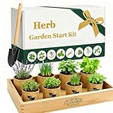 Indoor Herb Garden Start Kit - Unique Gifts for Women, Valentine's Day Gift, Easy House Plant- Birthday for Women,House Warming Gift New Home- Fresh Herb Garden DIY Crafts for Adults