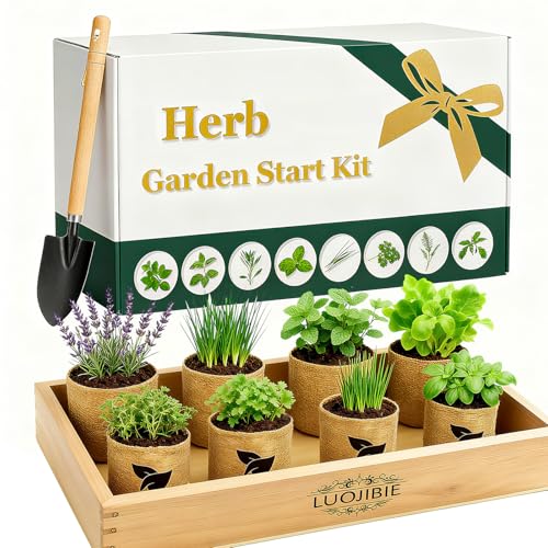 Indoor Herb Garden Start Kit - Unique Gifts for Women, Valentine's Day Gift, Easy House Plant- Birthday for Women,House Warming Gift New Home- Fresh Herb Garden DIY Crafts for Adults