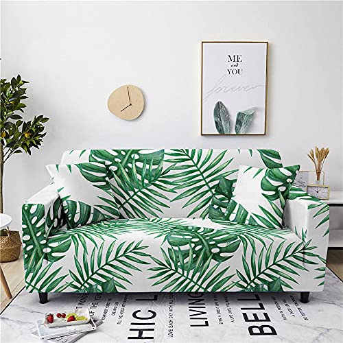 Mateju Fundas de Sofá Elasticas de 1 2 3 4 Plazas Universal Decorativas Funda Cubre Sofas Ajustables, Antideslizante Protector Cubierta de Muebles (Monstera,2 plazas - 145-185cm) Cover