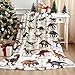 Dinosaurs Blanket Gifts Super Soft Lightweight Flannel Dinosaurs Bed Alphabet Blankets Throw for Kids, Adult, Suitable for Couch, Sofa, Bed, Camping, Travel All Seasons 60