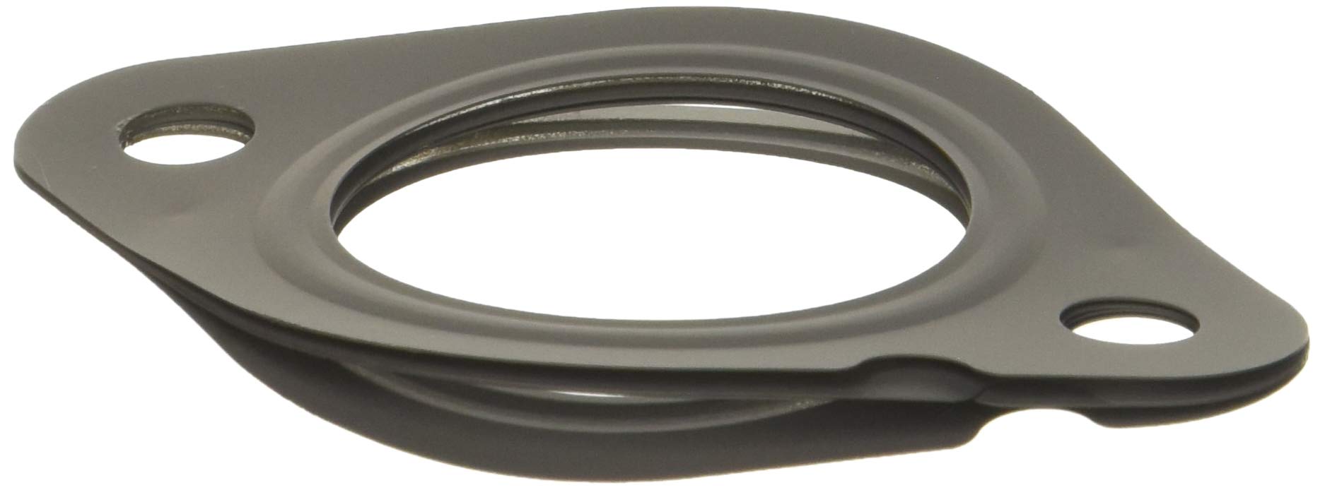 EGR Cooler Gasket