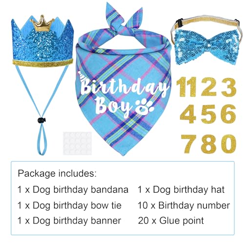 Suministros para fiesta de cumpleaños de perro, sombrero y bandana miniatura 3