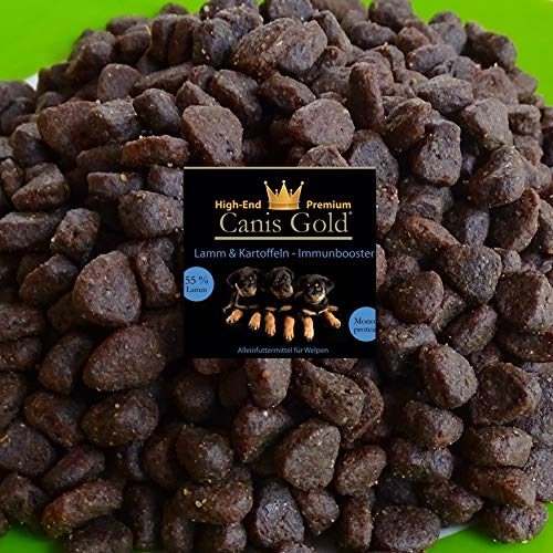 5 kg Canis Gold Welpen | Junior Lamm & Kartoffel | 55,3% Fleisch | Monoprotein Trockenfutter für alle Hunderassen