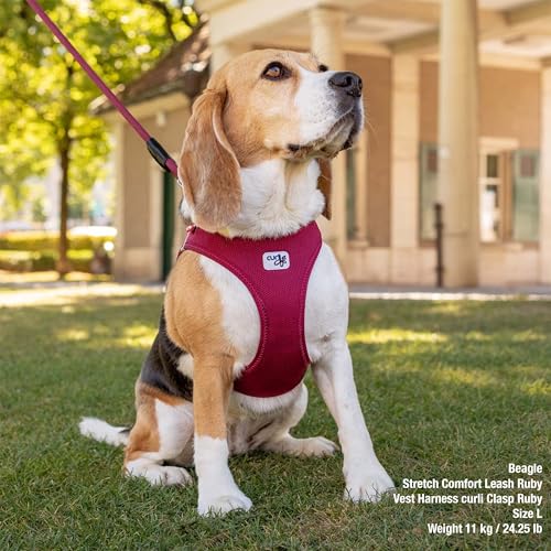 Vest Harness curli Clasp Air-Mesh Light-Tan 3XS
