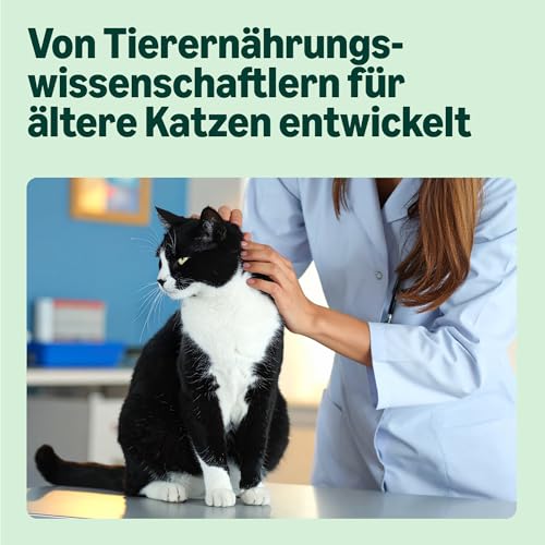 by Amazon Katzenfutter, nass, für ältere Katzen, Gemischte Auswahl in Gelee, 4.8kg (48 beutel mit 100g)