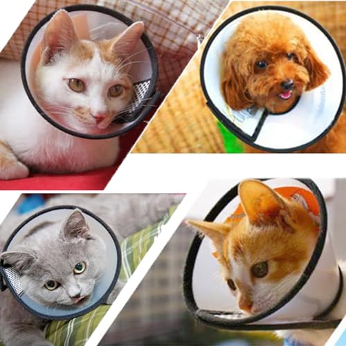 2 Stück Halskrause Katze, Halskrause für Hund Haustiere Schutzhalsband Kegelhalsbänder aus Kunststoff, Leichter Elisabethanischer Kragen, Kegel Einstellbar Halskrause für Katzen kleine Hunde