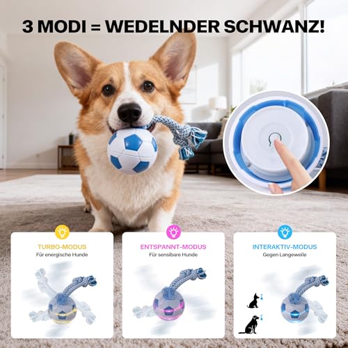 Pet Prime Intelligentes Hundespielzeug Fussball – Mit LED-Leine, 3 Spielmodi, USB-Aufladbar & Automatischem Energiesparmodus