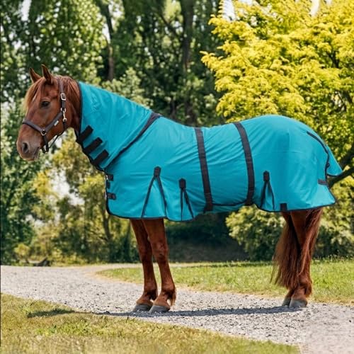 Image of Horse Fly Sheet with Attached Neck Cover & Tail Flap | UV Protection Mesh Horse Blanket, Full Body Bug & Sun Shield, Buckles, Belly Wrap & Gussets for Spring Summer Riding Rug (Teal, 74 inch)