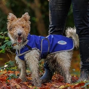 Weatherbeeta comfitec premier free parka deluxe dog coat medium dark bluegreywhite 20  urban country home decor