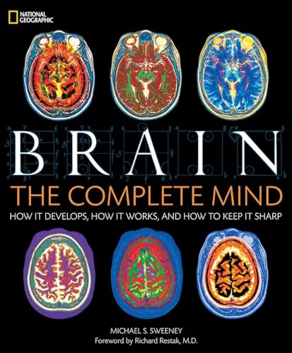 Brain view 2