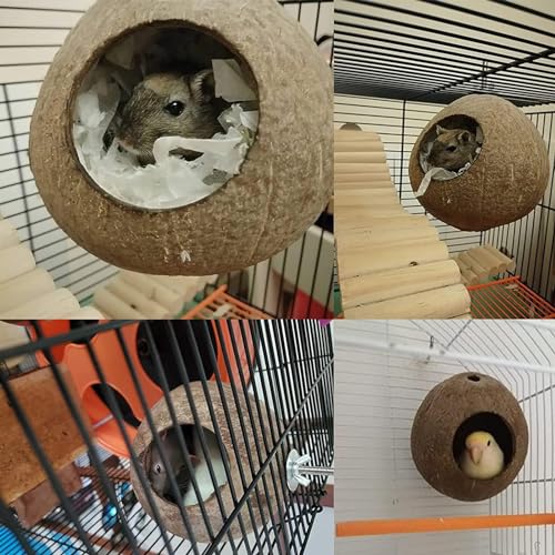 Image of OMEM Bird Coconut House,Hamster House,Coconut Shells can Fixed in Bamboo, Birdcages, Hamster Cages (M)