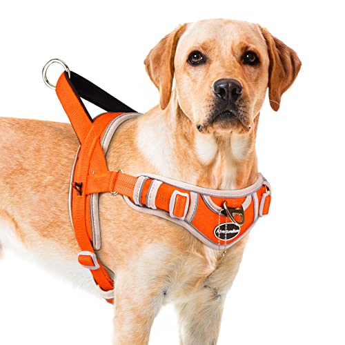 Barrel Chested Dog The 15 best products compared Wild Explained