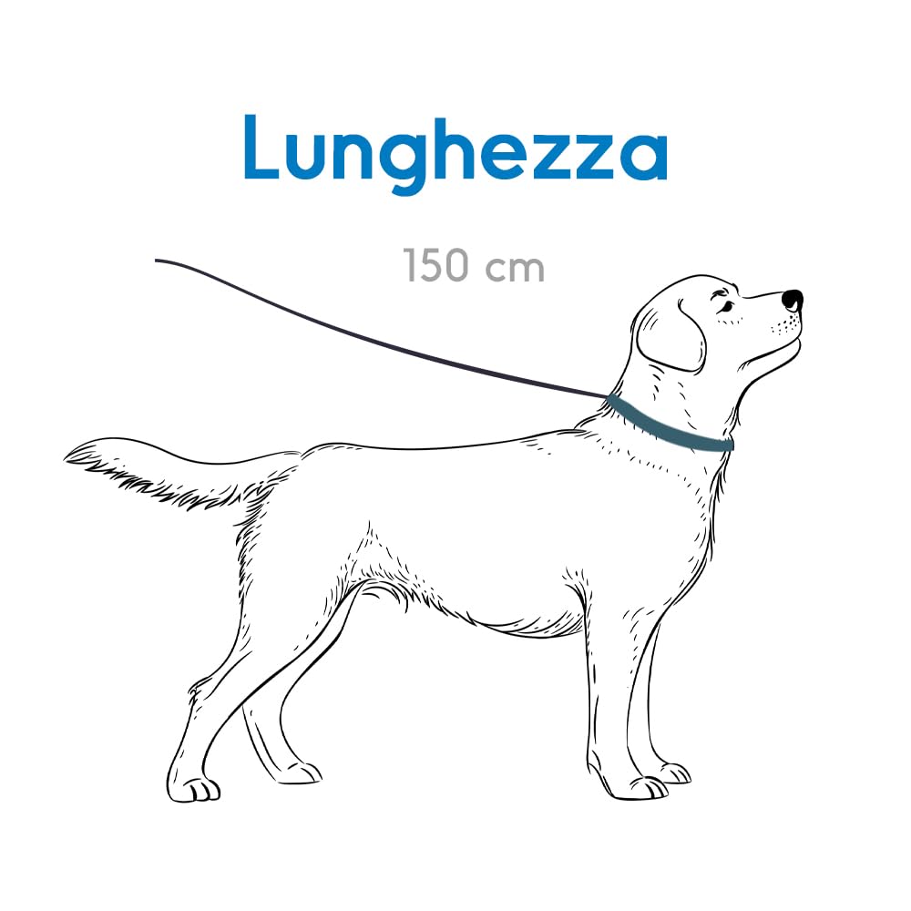 Record, Tubular Dog Leash, Made of Soft and Durable Nylon with Plastic Details, Equipped with Metal Carabiner, Black, Size M - Image 2