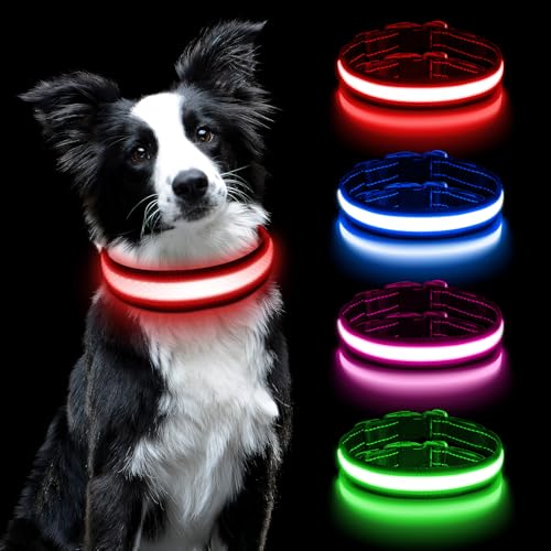 AUAUY Collare luminoso a LED per cani, luce collare per cani ricaricabile e impermeabile, collare regolabile con 3 modalità di illuminazione per cani medi(rosso-M)