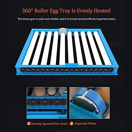 QHYTL Ei Inkubator Temperaturregelung Geflügel Brüter Huhn Küken Ente Brutmaschine für Ente Gans Wachtel Vögel Truthahn – Bild 5