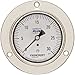 ASHCROFT Duralife Type 1009 Stainless Steel Case Dry Filled Pressure Gauge, Stainless Steel Tube and Bronze Socket, Front Flange Mounting, PLUS Performance Dampening, 3.5" Dial Size, 1/4" NPT Lower Back Connection, 0/30 psi Pressure Range
