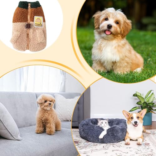 Gihioue Pullover Für Kleine Hunde - Schutz Gegen Kälte Maschinenwaschbar - Haustierpullover Für Welpen - Für Party Festliche Show Parade Familientreffen Herbst Winter Spaziergänge Reisen Camping
