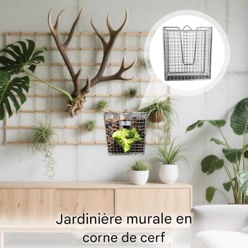 Jardinère murale pour épiphytes avec kit support de fixation verticale - 3