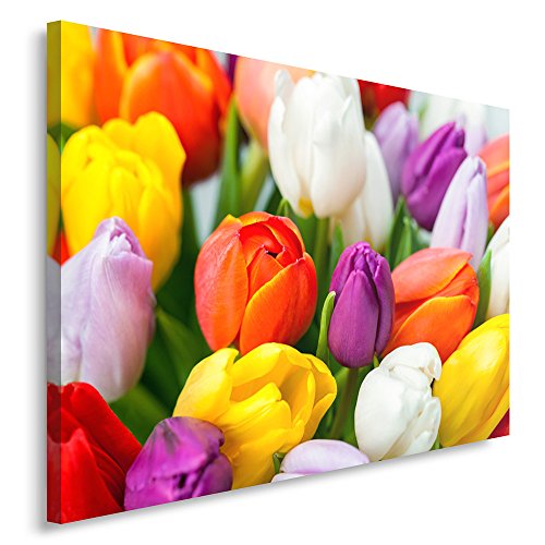 Feeby Frames, Cuadro en lienzo, Cuadro impresión, Cuadro decoración, Canvas de una pieza, 40x60 cm, FLORES, TULIPANES, NATURALEZA, COLORES