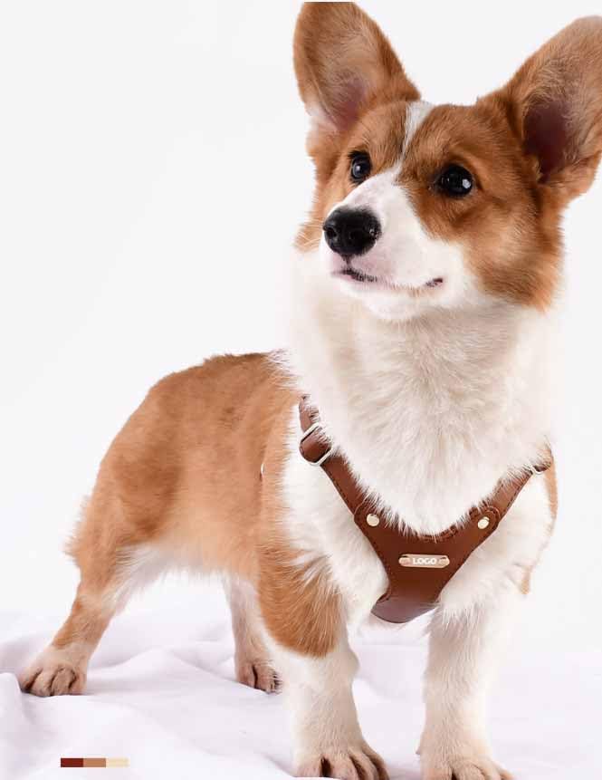 feiling Leder Hundegeschirr Wasserfest Brustgeschirr Haustier Ledergeschirr Verstellbar Katzengeschirr Weichem für Kleine und Mittelgroß Hunde (braun, S)
