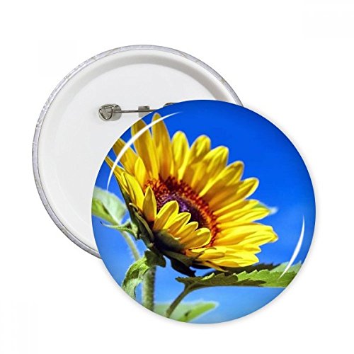 Broches rondes tournesols et ciel bleu lot de 5 badges de taille moyenne pour vêtements