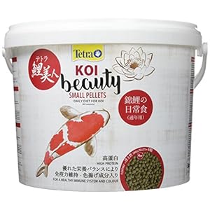 Tetra KOI Beauty Small, 10 l