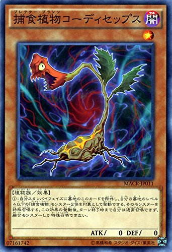 Amazon.co.jp: 遊戯王 捕食植物コーディセップス マキシマム
