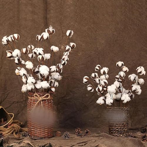 Ramas naturales secas de 37.5 cm para decoración 5 piezas miniatura 4