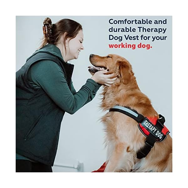 Therapy Dog Vest Harness with Hook and Loop Straps and Handle – Harnesses in 7 Sizes from XXS to XXL – Therapy Dog in Training Vest Features Reflective Therapy Dog Patch Therapy Dog Vest Harness with Hook and Loop Straps and Handle – Harnesses in 7 Sizes from XXS to XXL – Therapy Dog in Training Vest Features Reflective Therapy Dog Patch