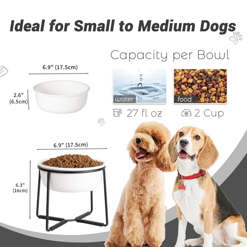 Hundenapf Erhöht Futternapf Hund Keramik - rutschfeste Fressnapf mit Metallständer - Ideal für Kleine und Mittelgroße Hunde - 800 ml - Mattweiß