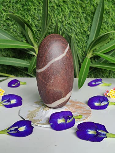 Image of 4 Inch Rudra Narmadeshwar Shiva Linga Banalinga Shiva Lingam for Pooja Small Lingam for Home Worship Puja Articles Lingam for Meditation & Prayer (4 Inch Lingam)