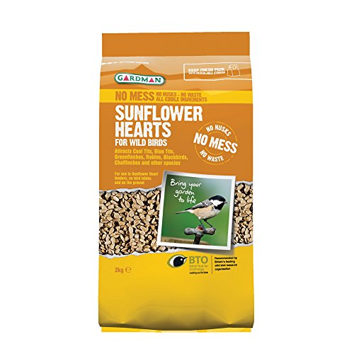 Gardman A06420 Sunflower Hearts Bird Seed, Multi-Colour, 1 kg Gardman A06420 Sunflower Hearts Bird Seed, Multi-Colour, 1 kg