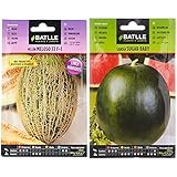 Melon hibrido MELOSO 33 F-1 & Sandia Sugar Baby