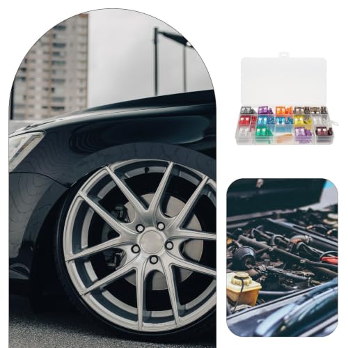 Kit de fusibles automotrices LIFKOME, 150 piezas, fusibles estándar y de perfil bajo Jcase, material PC, para mantenimiento del sistema eléctrico vehicular miniatura 5