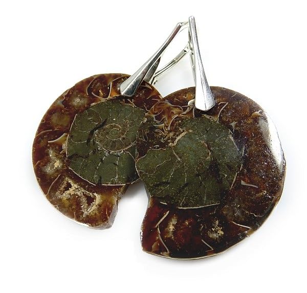 Boucles d'oreilles ammonite ARANDE en argent 925 contre les allergies, hypoallergéniques