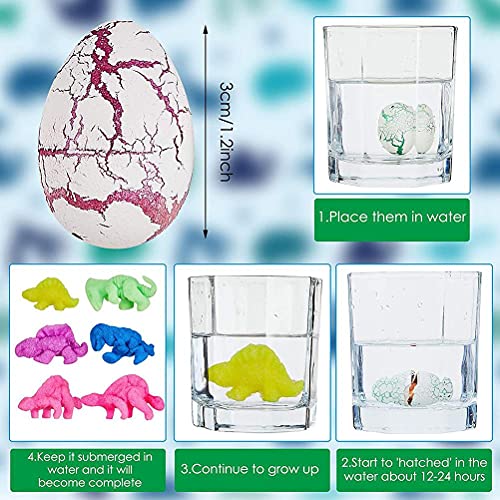 Preescolar, Toy dinosaurios que crecen en agua Marca Yuffoo (3)