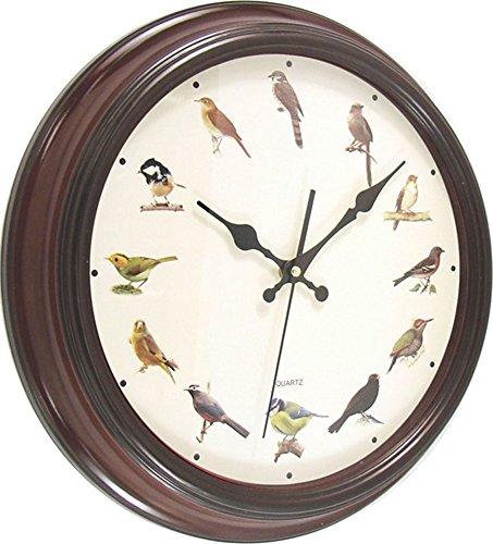 WSM Reloj De Pared Motivos Ø30 cm con pájaro con Marco de plástico