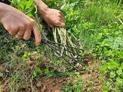 Das Departmental Store Garden Use Heavy Duty Rake. (Grass Extractor) (B08MBGQDDD) Amazon Price History, Amazon Price Tracker