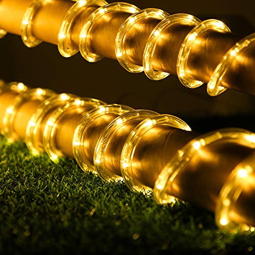 Dingfu Upgraded 100Ft 720 Led Rope Lights, Indoor Outdoor Waterproof Rope Lights, Warm White Rope Light For Background,Yard,Garden,Bridges Decoration #TOP2