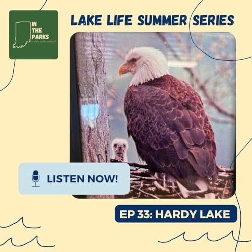 Hardy Lake: Where the Raptor Center Soars