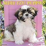 Just Shih Tzu Puppies 2019 Wall Calendar (Dog Breed Calendar)