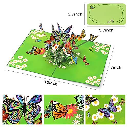 2Pcs Pop Up Cards By Milolo,Cards For Women,Pop Up Flower Cards,Hummingbird And Butterfly Cards,3D Pop Up Cards,Pop Up Birthday Card For Thank You,Thinking Of You,Sympathy,Birthday,Mothers,Sister,Grandmothers, Wift Or Girlfriends #TOP6
