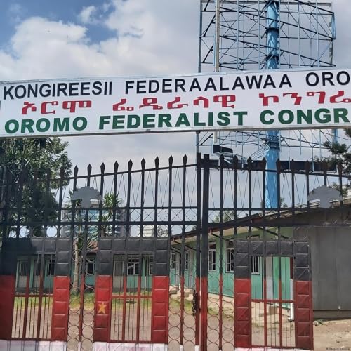 የሕዳር 11 ቀን 2018 የዜና መፅሔት