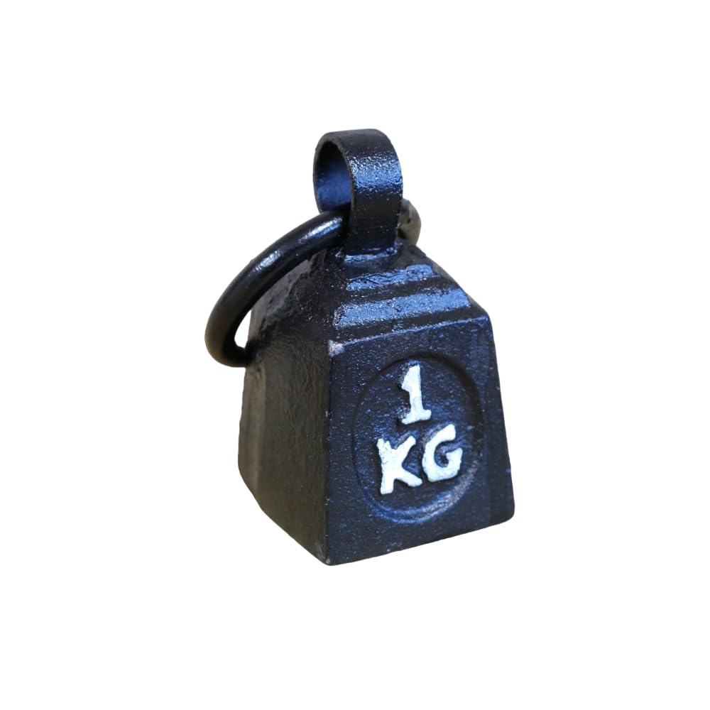 Cast Iron Paperweight 1kg Ring Scale Weight Vintage Novelty Door Stop Bookend