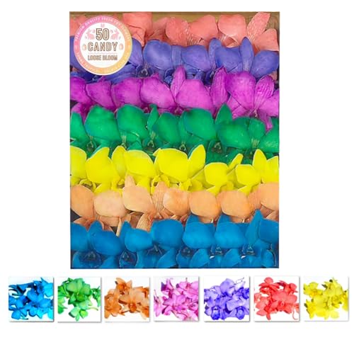 Miami Fresh Orchid Flower OrchidClub USA Sunne Tropical Loose Bloom