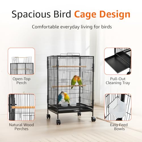 Image of Amazon Basics 30-Inch Metal Bird Cage with Gate | Feeders, Wooden Perches & Tray | Ideal for Lovebirds, Parrots & Small Birds | 3 Levels| Black