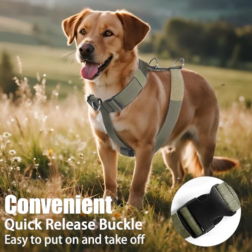 Hundegeschirr Mittelgroße Grosse Hunde, Taktisches Hundegeschirr Ausbruchsicheres, Gepolsterte Anti Zug Brustgeschirr Weich Verstellbares Dog Harness für Hunde Alltag und Training (Grün, M)