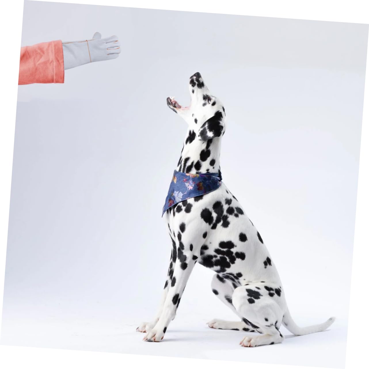 1 Paar Haustier-Anti-Biss-Handschuhe, bisssichere Hundehandschuhe, Fütterungshandschuhe, Haustier-Badehandschuhe, Haustier-Schutzhandschuhe, Fellpflege-Handschuhe, Stulpen, kosmetische Leder-Anti-Hand