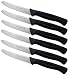 Tenartis 496 Set 6 Coltelli Tavola, Bistecca, Pizza, Frutta Lama 11 cm - Made in Italy